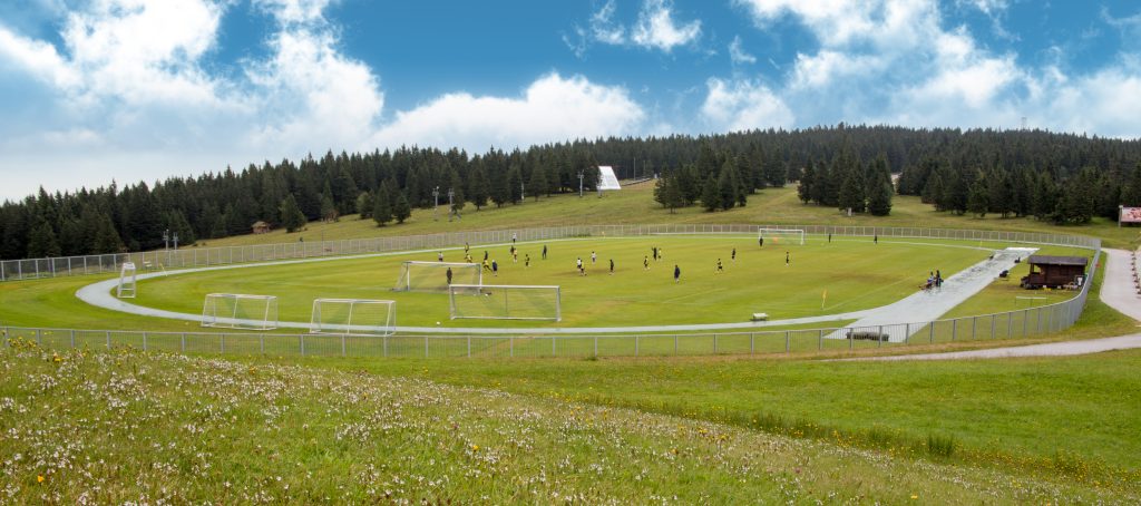 Rogal_narava in sport (18)